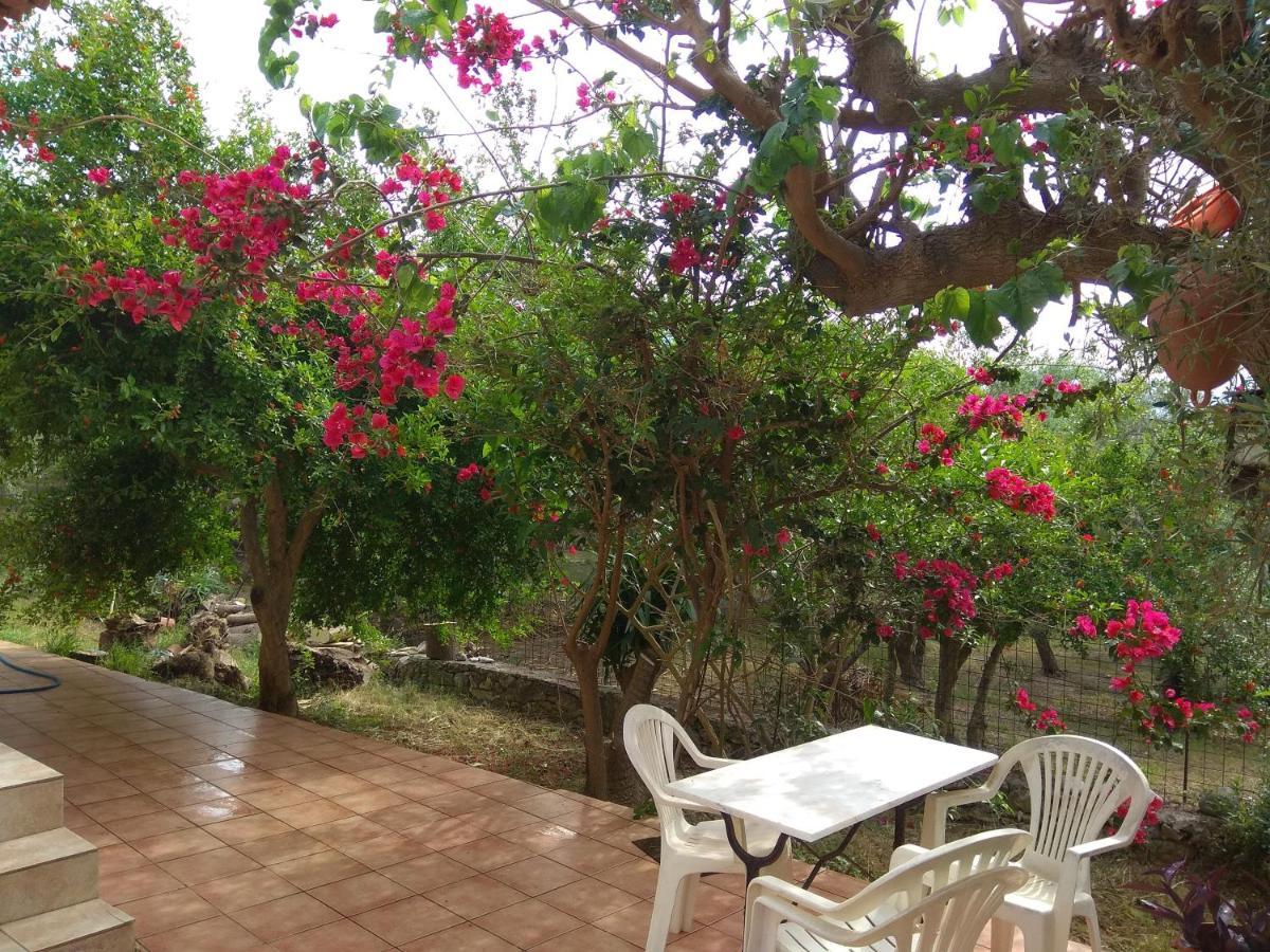 Appartement Ktima Tzamika à Episkopi-Chania Extérieur photo