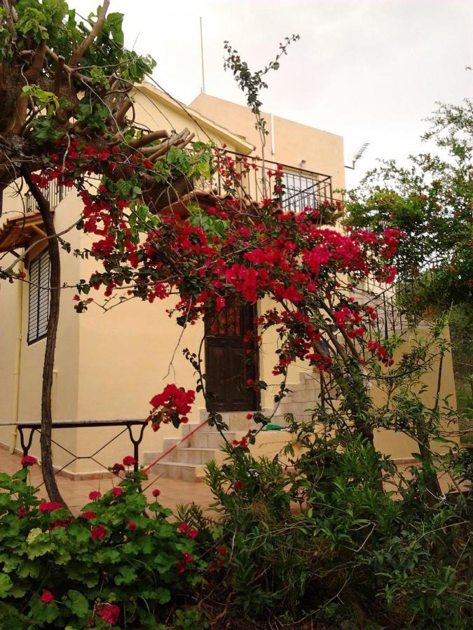 Appartement Ktima Tzamika à Episkopi-Chania Extérieur photo