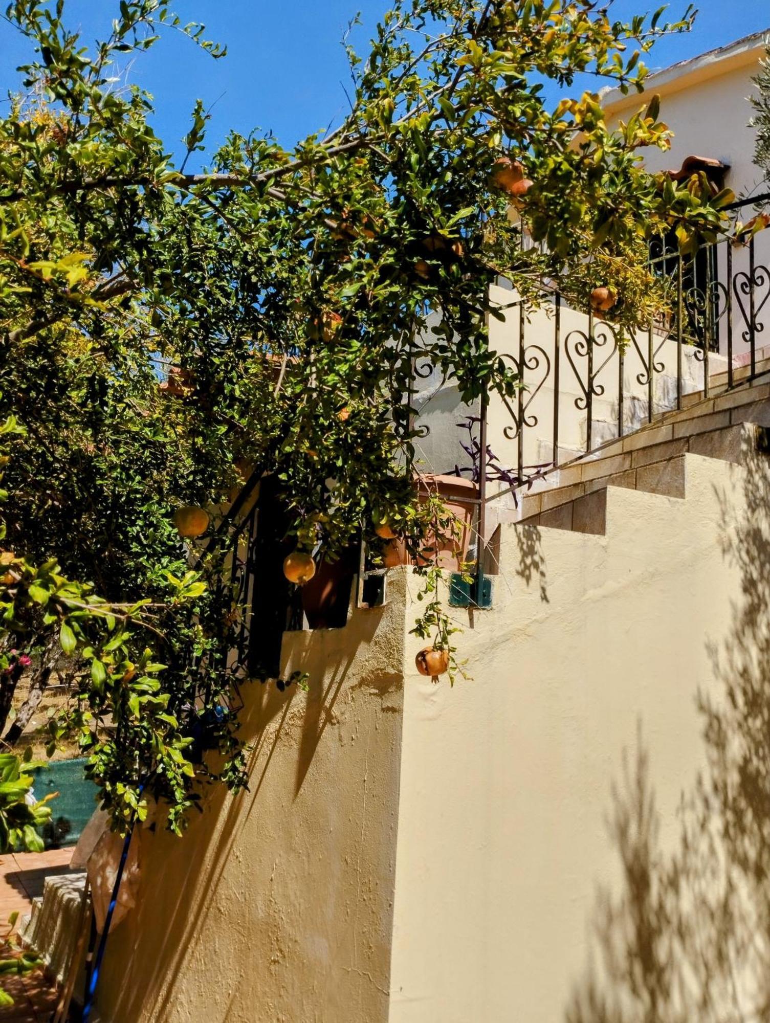 Appartement Ktima Tzamika à Episkopi-Chania Extérieur photo