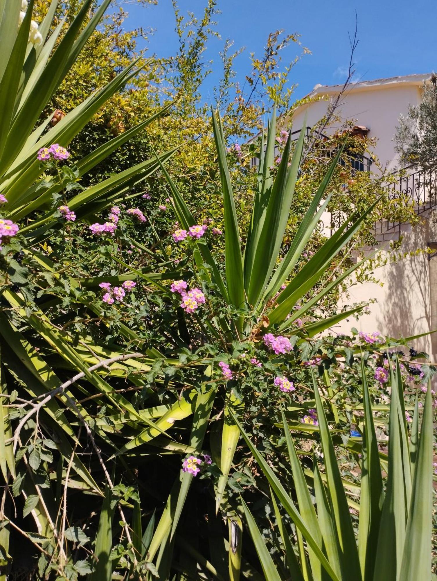 Appartement Ktima Tzamika à Episkopi-Chania Extérieur photo