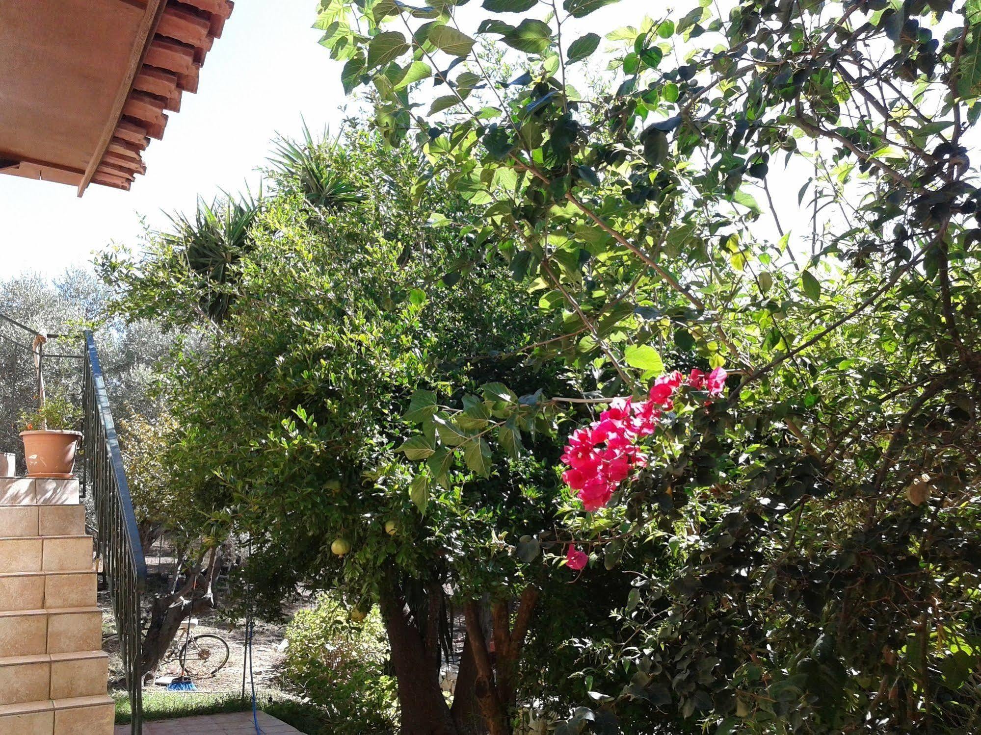 Appartement Ktima Tzamika à Episkopi-Chania Extérieur photo