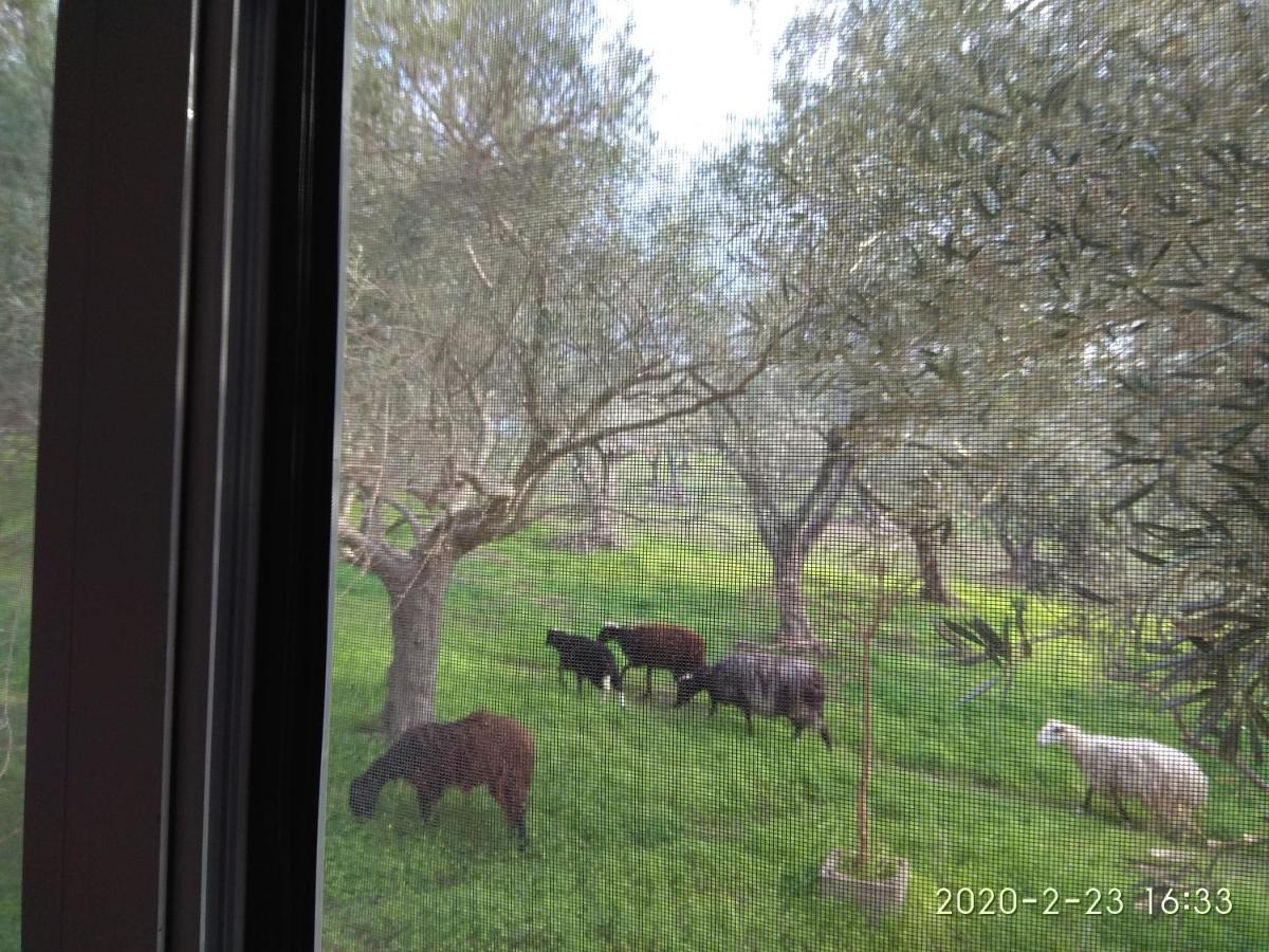 Appartement Ktima Tzamika à Episkopi-Chania Extérieur photo